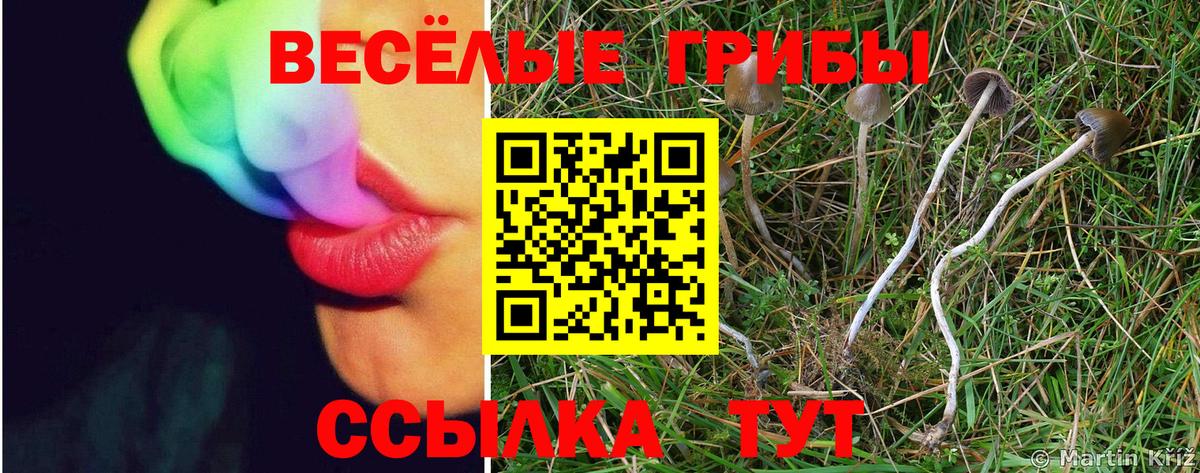 Галлюциногенные грибы Cubensis  Псилоцибиновые грибы Cubensis  Вход с VPN  Миллерово 